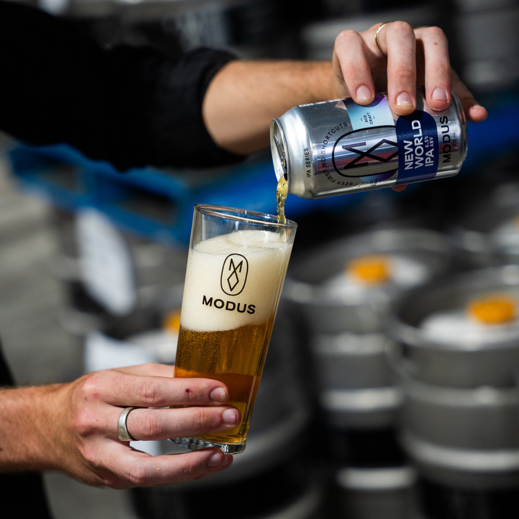 IPA Series 1: New World IPA image 2