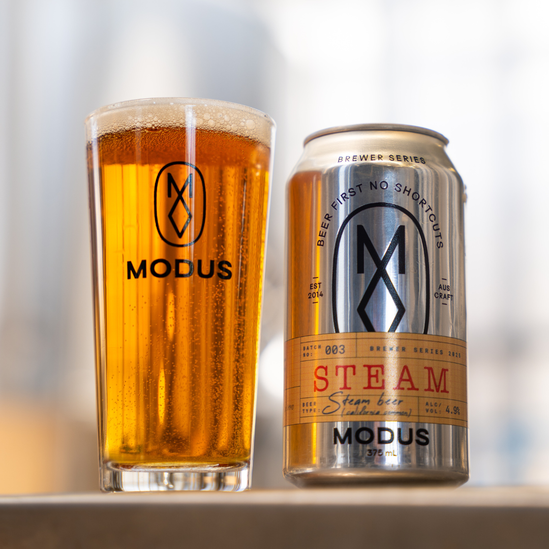 Brewer Series 3: Steam Beer image 0