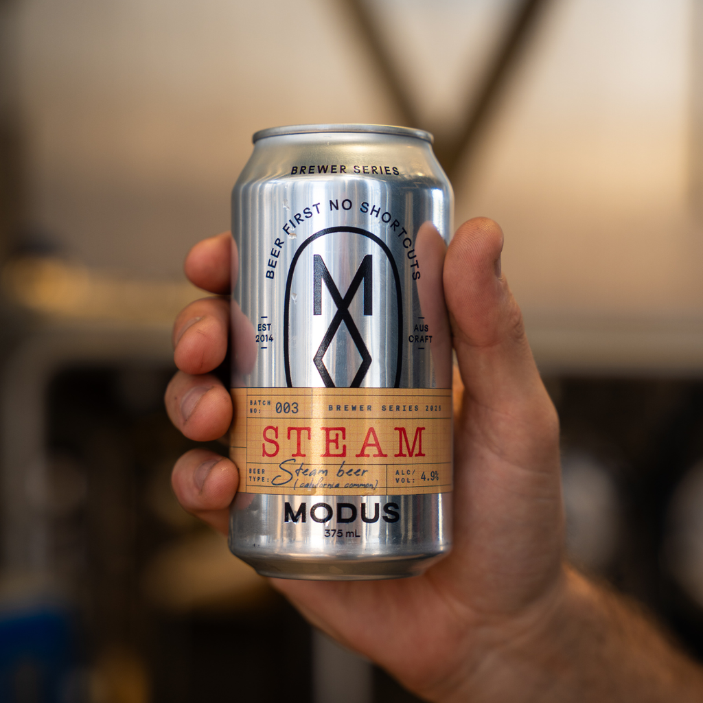 Brewer Series 3: Steam Beer image 1