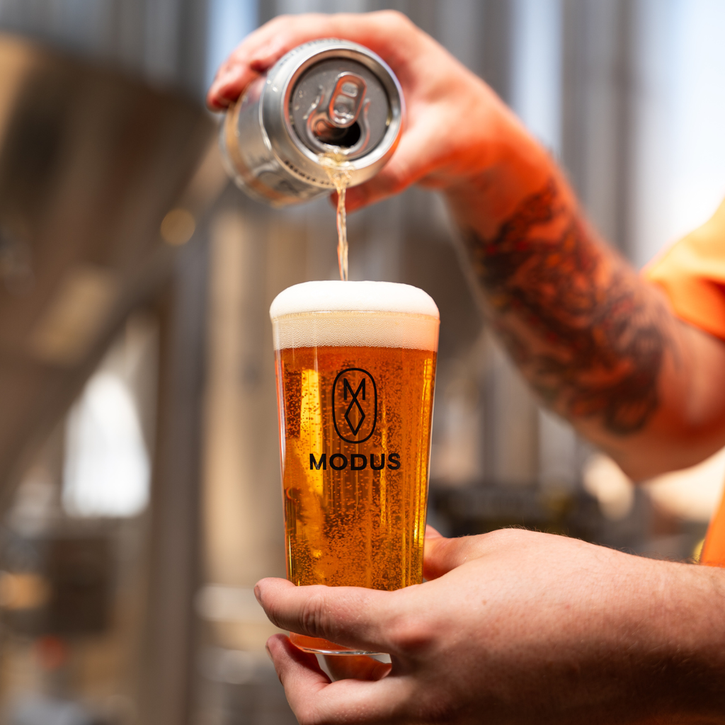 Brewer Series 3: Steam Beer image 2