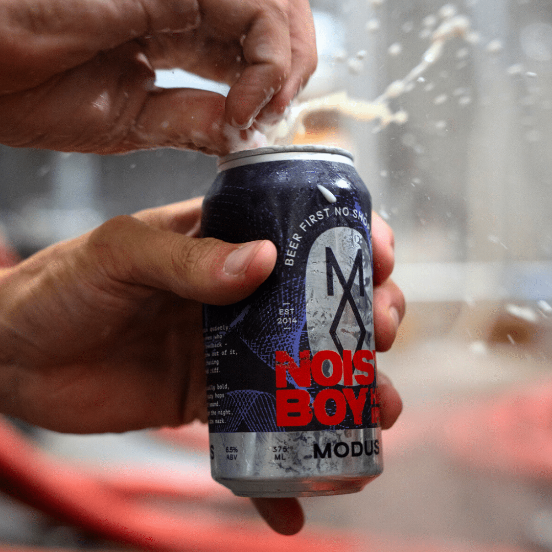 Noisy Boy Hazy IPA image 3