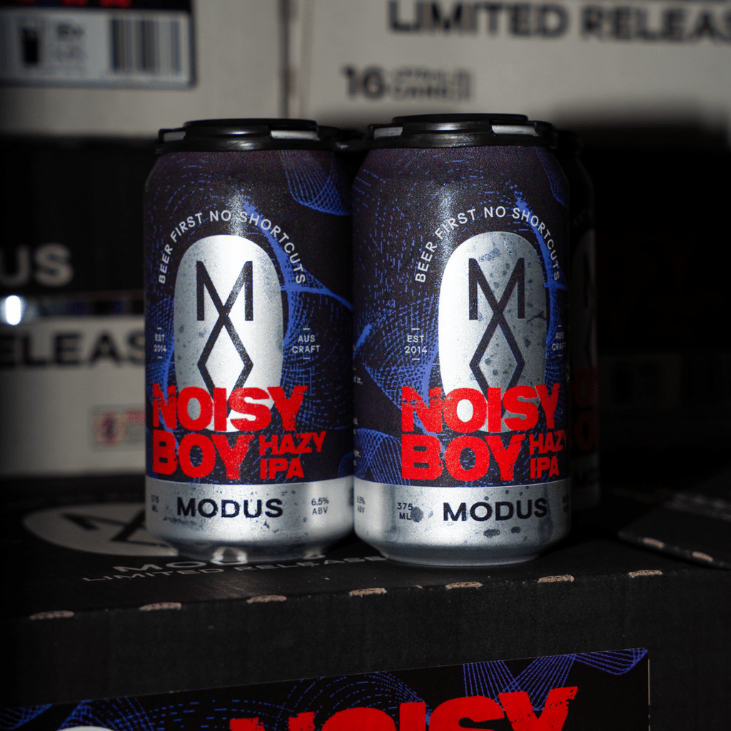 Noisy Boy Hazy IPA image 4