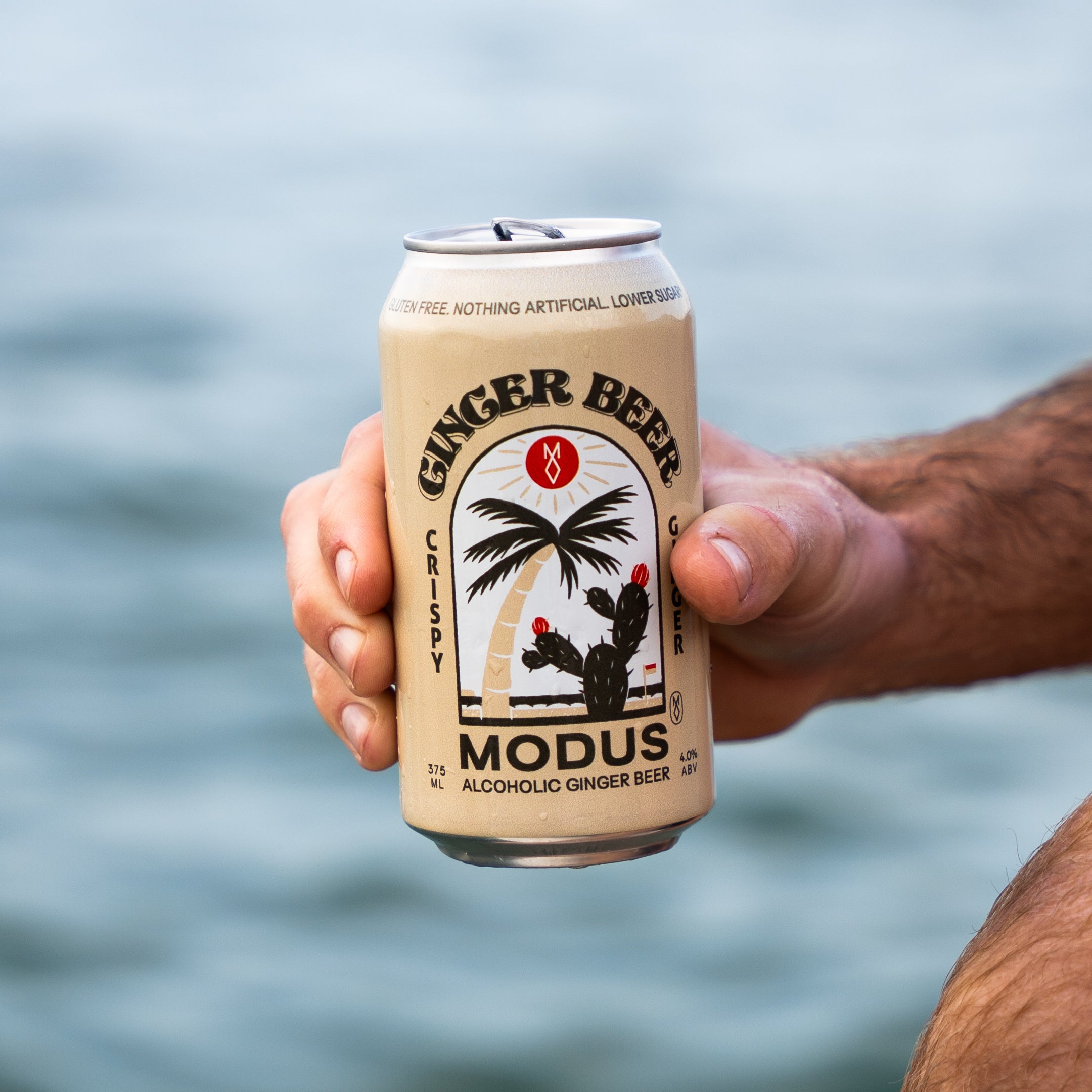 Ginger Beer image 0