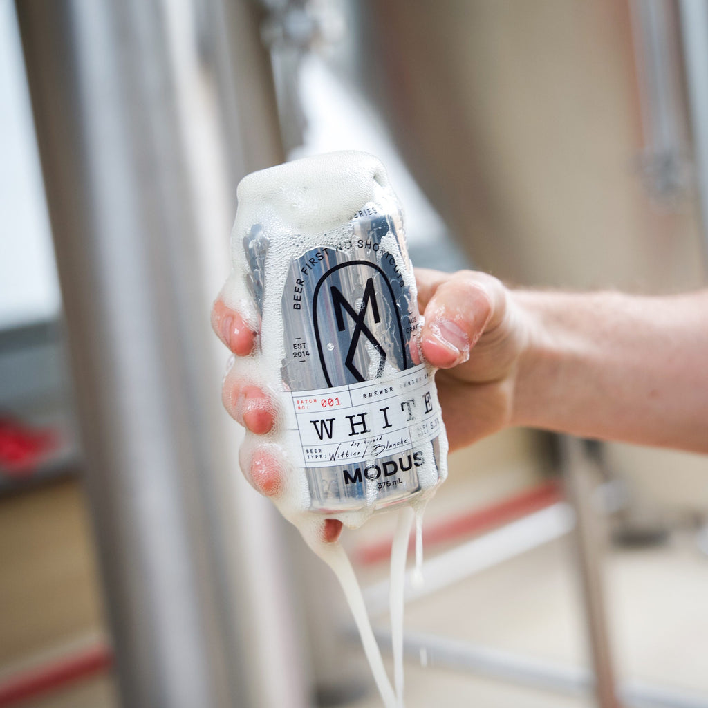 Brewer Series 1: Modus White image 1