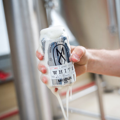 Brewer Series 1: Modus White image 1