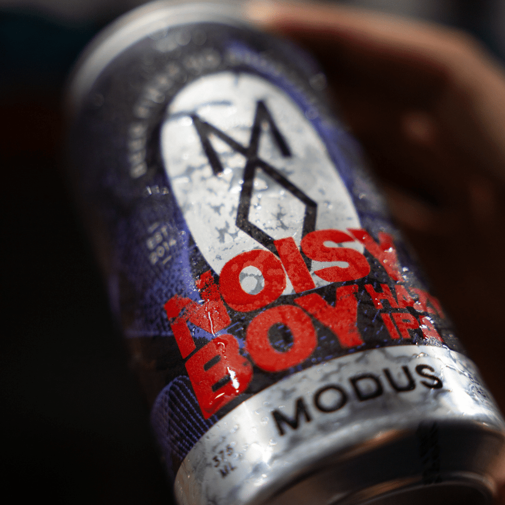 Noisy Boy Hazy IPA image 0