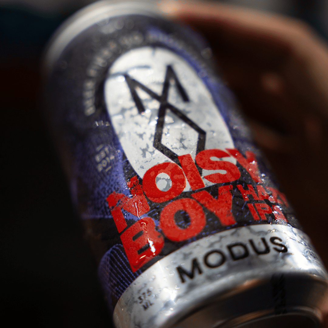 Noisy Boy Hazy IPA image 0