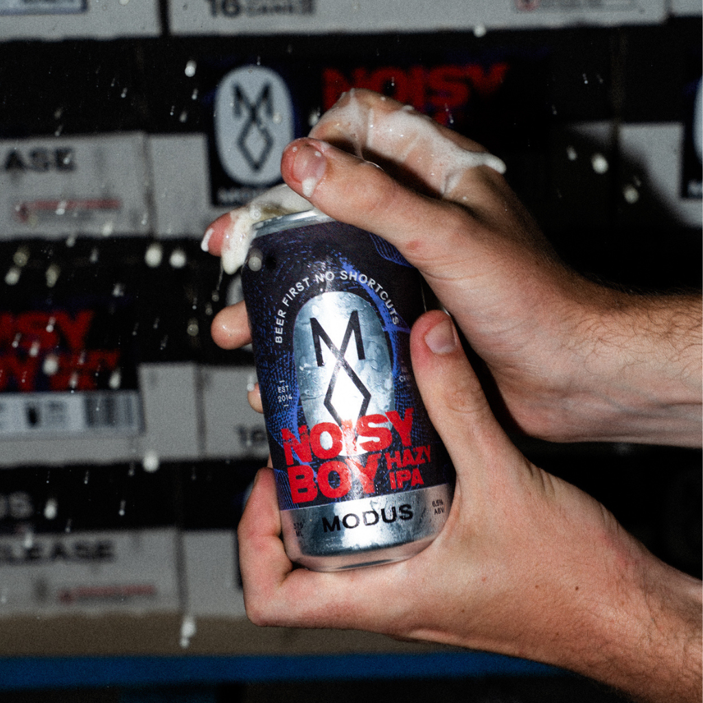 Noisy Boy Hazy IPA image 1